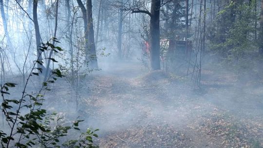Pożar lasu w pow. lubartowskim i parczewskim
