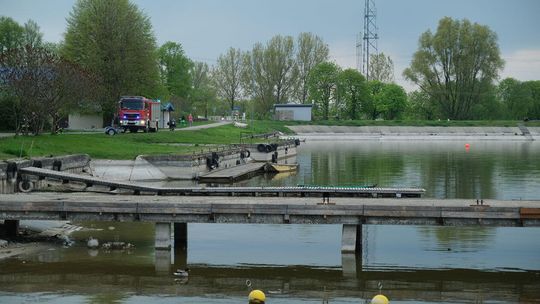 Poszukiwania łosia w Zalewie Zemborzyckim