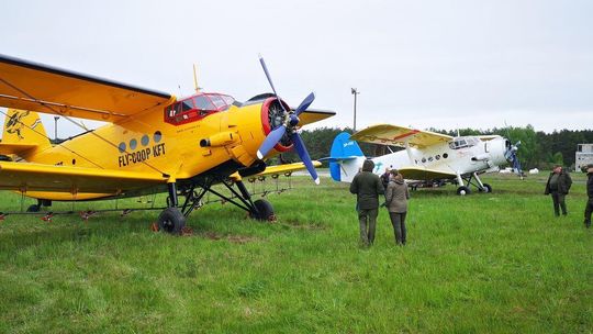 Opryski przeciwko chrabąszczom w lubelskich lasach