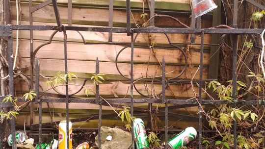 Krajobraz po Kozienaliach Krajobraz po Kozienaliach