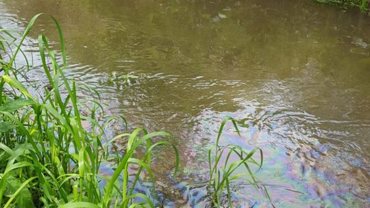 Śmierdząca plama na rzece Ciemiędze