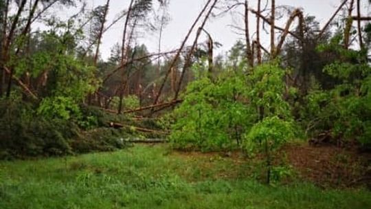 Nawałnica przeszła przez powiat lubartowski Nawałnica przeszła przez powiat lubartowski