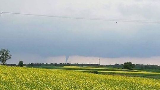 Trąba powietrzna w gm. Wojciechów