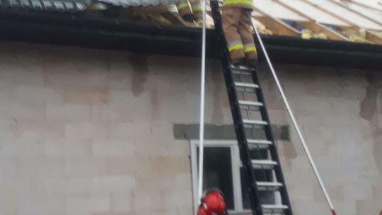 Wierzbica-Osiedle (powiat chełmski)