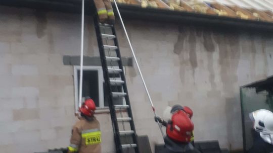 Wierzbica-Osiedle (powiat chełmski)