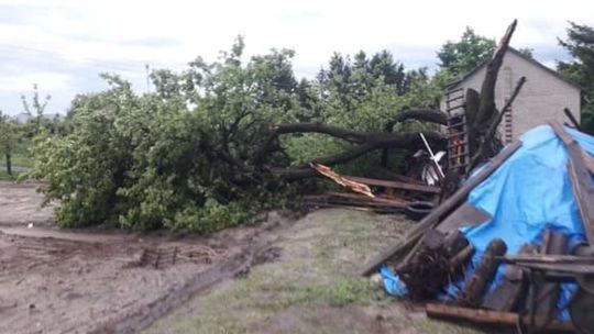 Wierzbica-Osiedle (powiat chełmski)