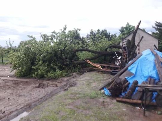 Wierzbica-Osiedle (powiat chełmski)