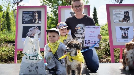 Wybory Kundelka Roku 