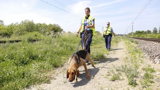 Policyjne psy tropiące z Saksonii biorą udział w poszukiwaniach 35-latka
