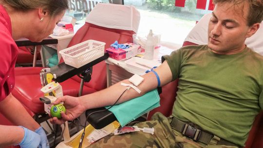 Krwioobieg Terytorialsa