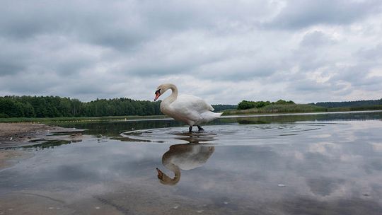 Problemy z wodą w Roztoczańskim Parku Narodowym Problemy z wodą w Roztoczańskim Parku Narodowym