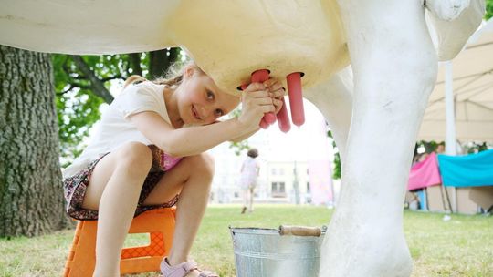 Lato na Litewskim: festiwal dzieci - piknik rodzinny