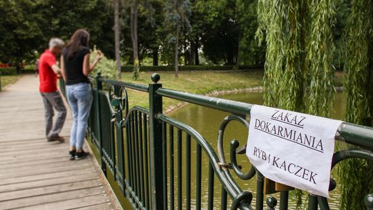 Miejski staw w Zamościu
