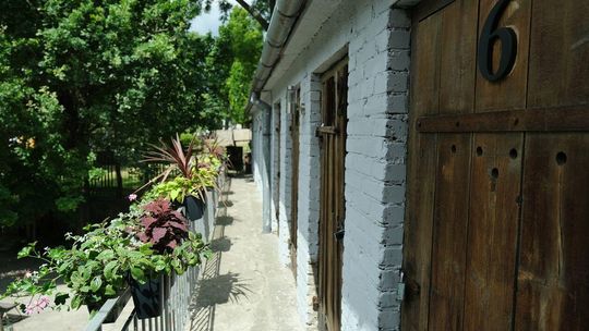 Nowe życie podwórka kamienicy przy ul. Lubartowskiej 79