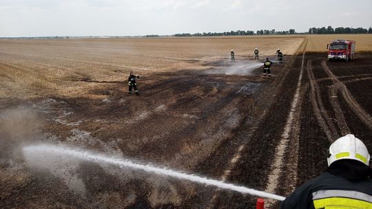 Pożar zboża w miejscowości Marynin koło Radzynia Podlaskiego 