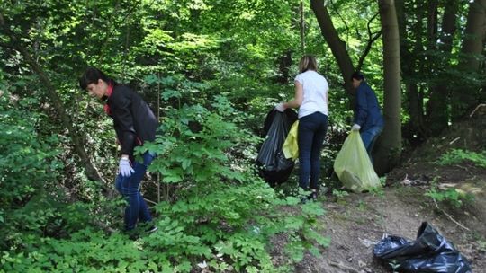 Szczebrzeszyn: W stolicy musi być czysto 
