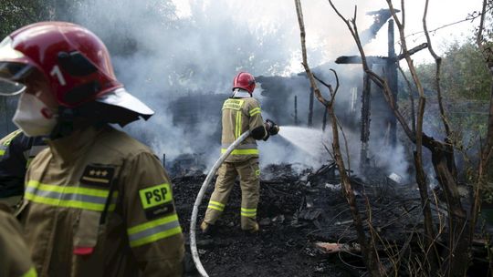 Pożar w ogródkach działkowych przy Alei Unii Lubelskiej 