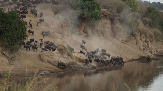 Sabina Baral - fotografie z podróży