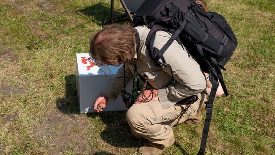 Wajrak i makolągwy. Interwencja ornitologiczna na festiwalu w Szczebrzeszynie