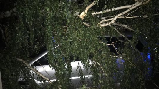 Burze w Lublinie i regionie. Interwencje strażaków