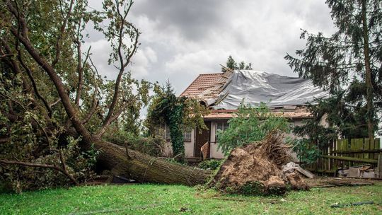 Sprzątanie po burzy w Bonowie i Siostrzytowie