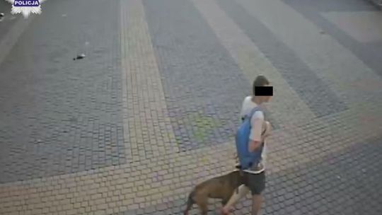 Policjanci zatrzymali dwóch złodziei