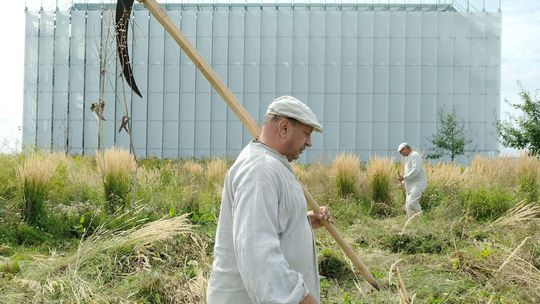 Sianokosy na tarasach CSK