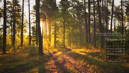 Nadleśnictwo Tomaszów Lubelski: Wrześniowe tapety na pulpit