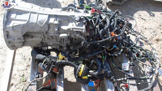 Dziupla samochodwa w gm. Radzyń Podlaski