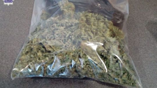 Narkotyki w domku na działce 33-latka z Ryk