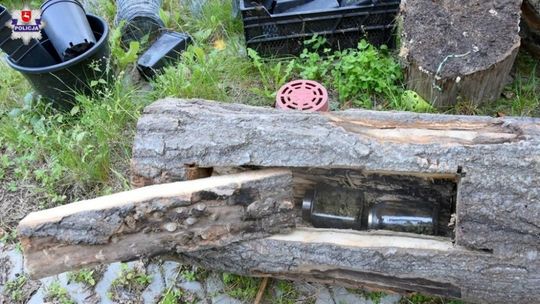 Narkotyki na posesji w gminie Gościeradów