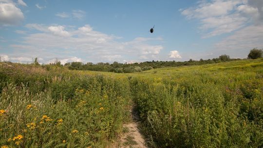 Skarby Kultury Przestrzeni