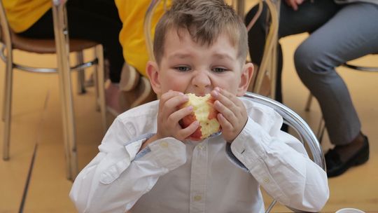 Festiwal Przedszkoli i Szkół Promujących Zdrowie