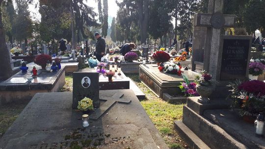 Cmentarz przy ul. Lipowej