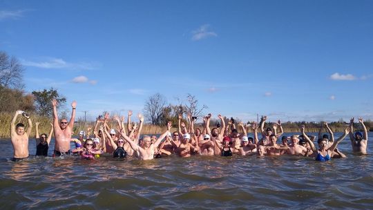 Kąpiele morsów z Zamościa