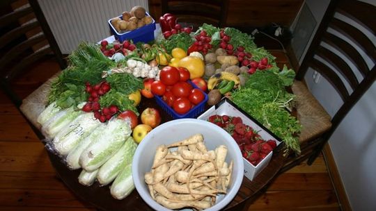 Zmieniają świat: zbierają jedzenie wyrzucane przez sklepy