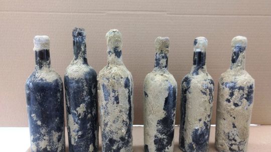 Niecodzienne odkrycie w Kozłówce. Znaleziono butelki z winem sprzed 100 lat