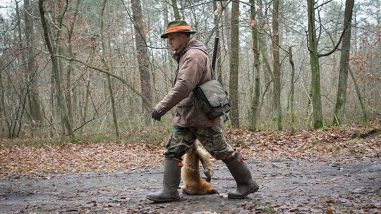 Myśliwy nie wejdzie na twoje pole. Jeśli to zgłosisz