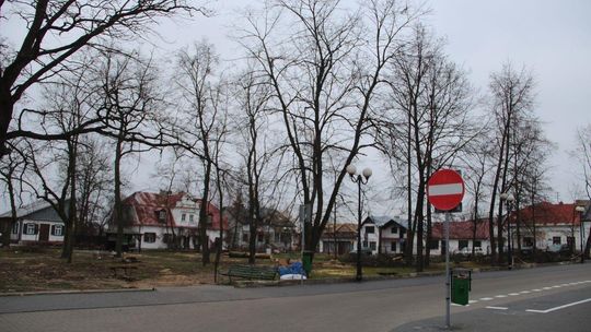 Wycinka na skwerze w Janowie Podlaskim