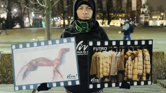 Protest przeciwko ubojowi zwierzat futerkowych