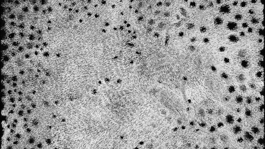 Białe chce przewalczyć mrok. Jubileuszowa wystawa