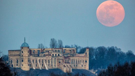 wschód Księżyca w Janowcu