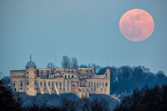 wschód Księżyca w Janowcu