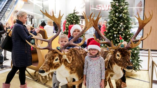 Festiwal Bożego Narodzenia w galerii Vivo 
