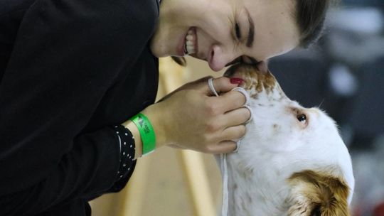III Międzynarodowa Wystawa Psów Rasowych odbywa się w Targach Lublin