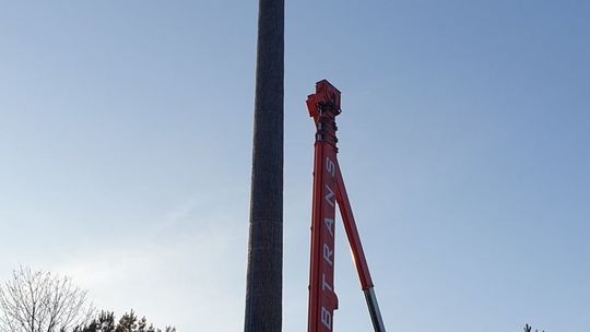 Maszt telefonii komórkowej wygląda jak wielkie drzewo Maszt telefonii komórkowej wygląda jak wielkie drzewo