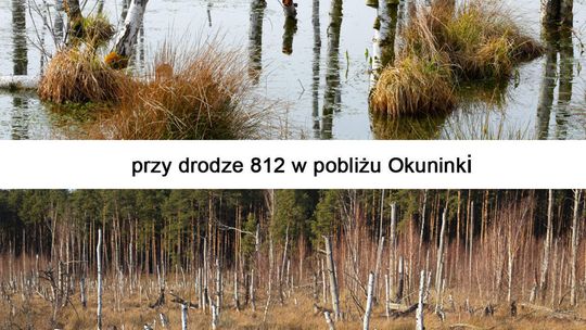 Katastrofa ekologiczna na Polesiu Lubelskim