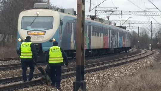 Pies pracujący w Straży Ochrony Kolei uratował życie 24-latka Pies pracujący w Straży Ochrony Kolei uratował życie 24-latka
