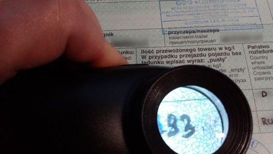 Nieprawidłowości w tranzycie Nieprawidłowości w tranzycie