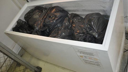 Kanapki, przekąski, desery. 53 tony jedzenia wylądowało w śmietniku Kanapki, przekąski, desery. 53 tony jedzenia wylądowało w śmietniku